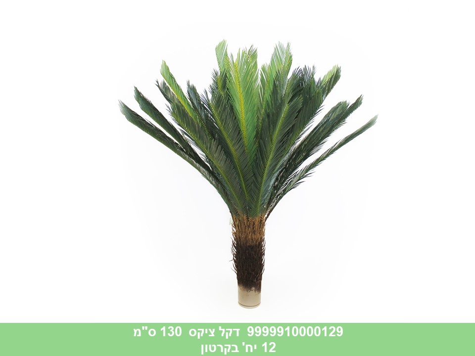עץ דקל ציקס 130 ס"מ