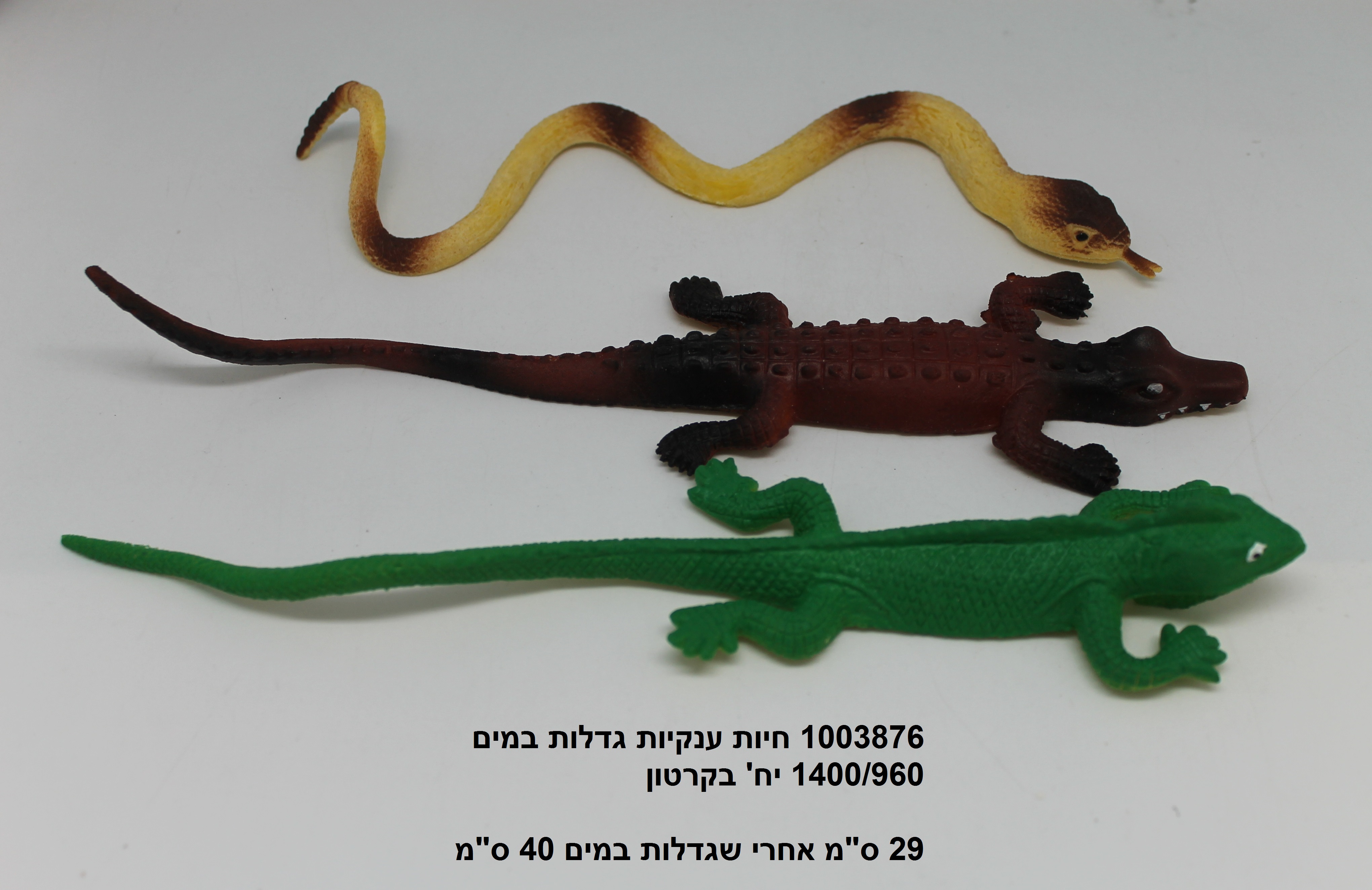 חיות ענקיות גדלות במים