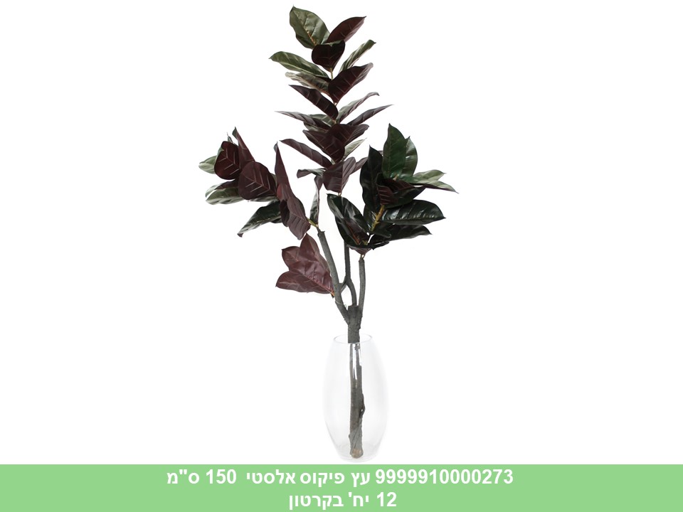 עץ פיקוס אלסטי 150 ס"מ