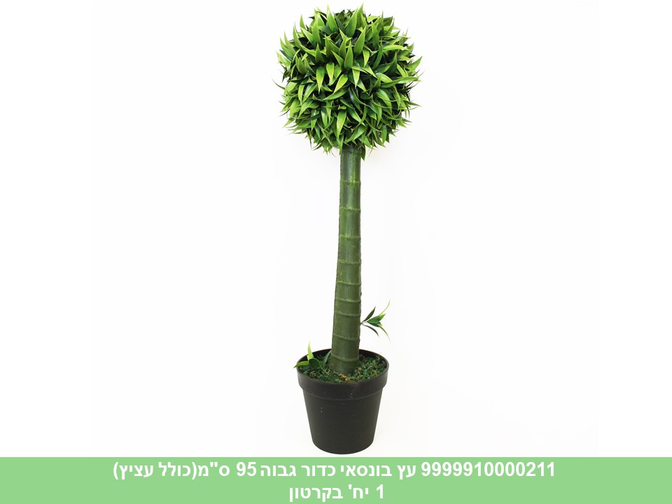 עץ בונסאי כדור גבוה 95 ס"מ