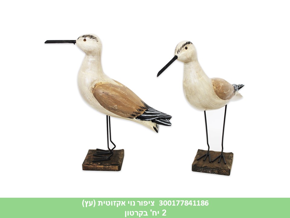 ציפור נוי אקזוטית (עץ) 30.5 ס"מ