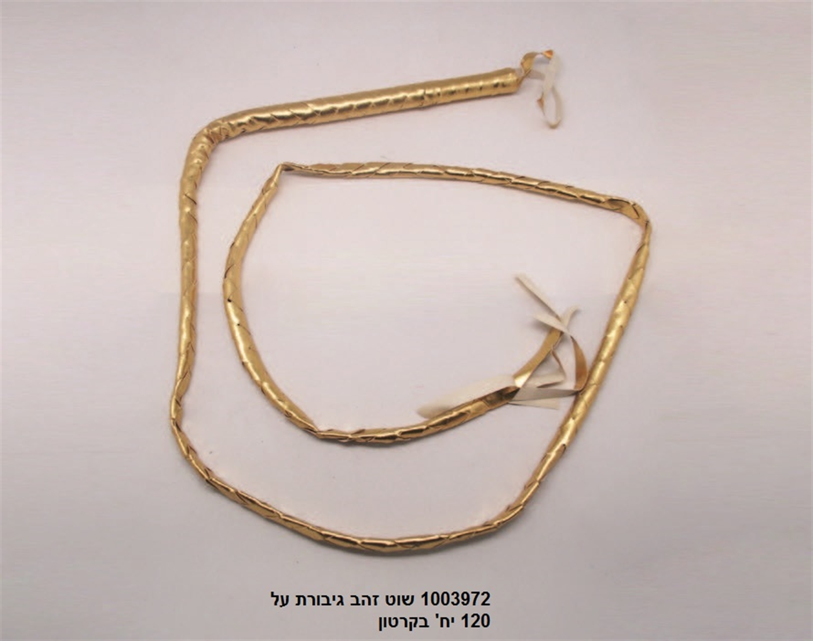 שוט זהב גיבורת על בשקית (240)