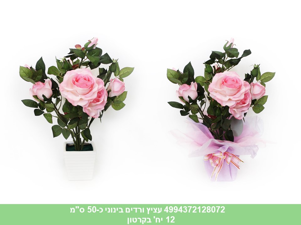 עציץ ורדים בינוני כ 50 ס"מ