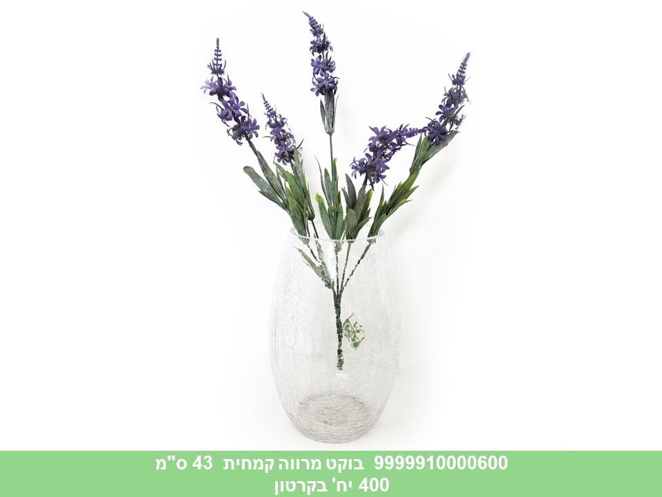 בוקט מרווה קמחית 43 ס"מ (400)