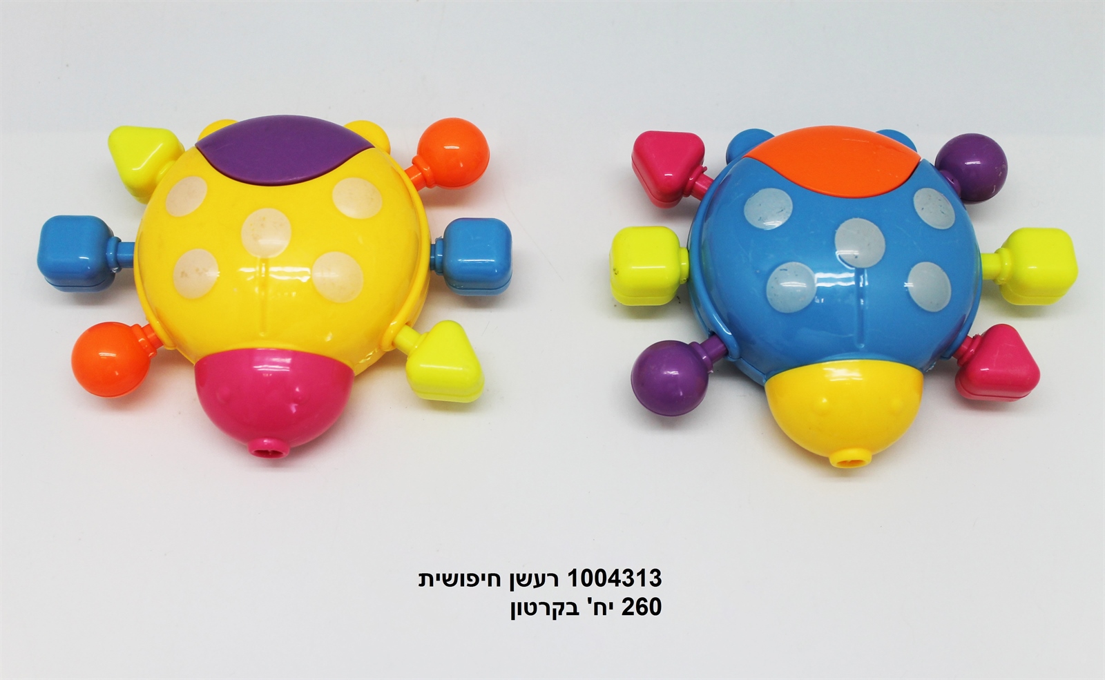 רעשן חיפושית