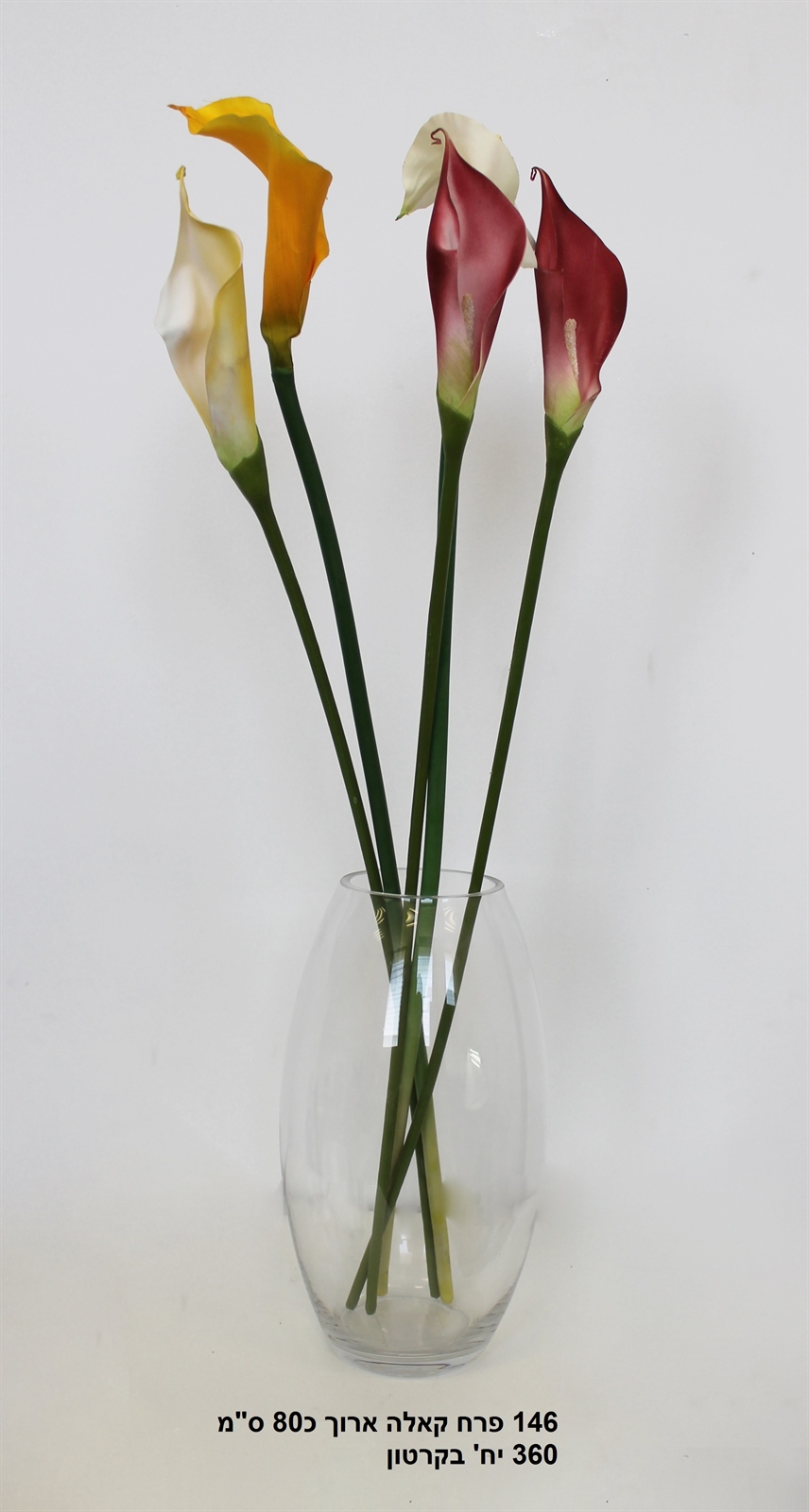 פרח קאלה ארוך כ - 80 ס"מ