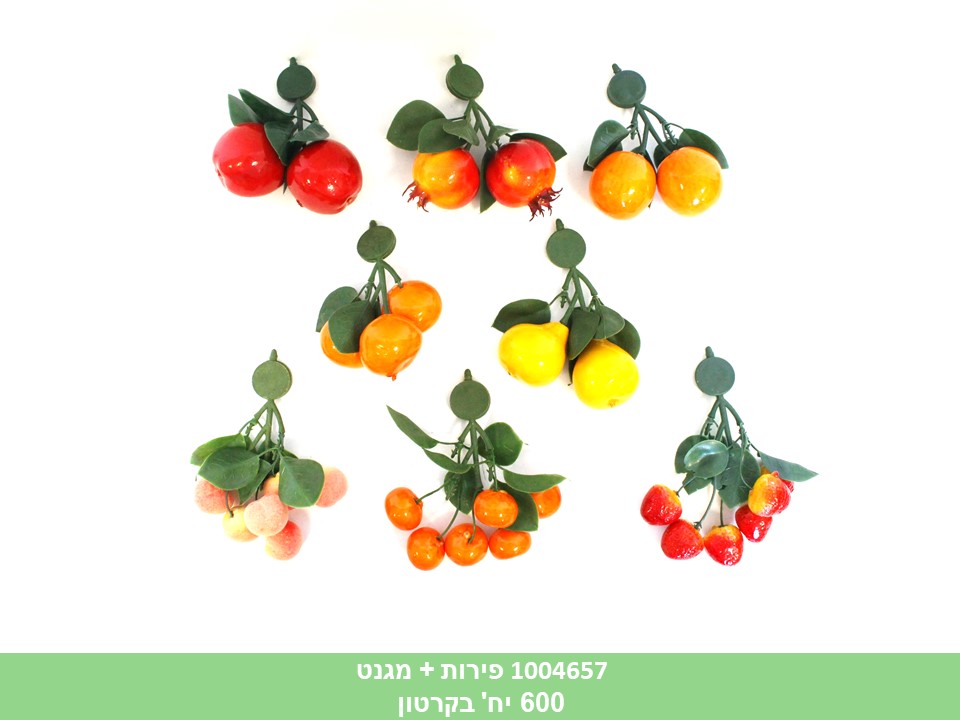 מגנט + פירות בשקית