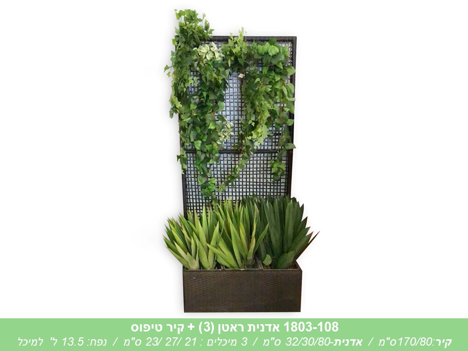 אדנית ראטן (3) + קיר טיפוס-פגום