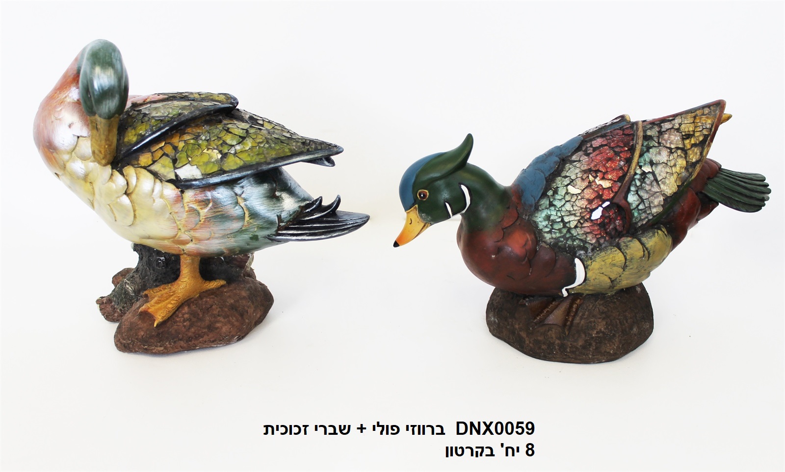 ברווזי פולי + שברי זכוכית