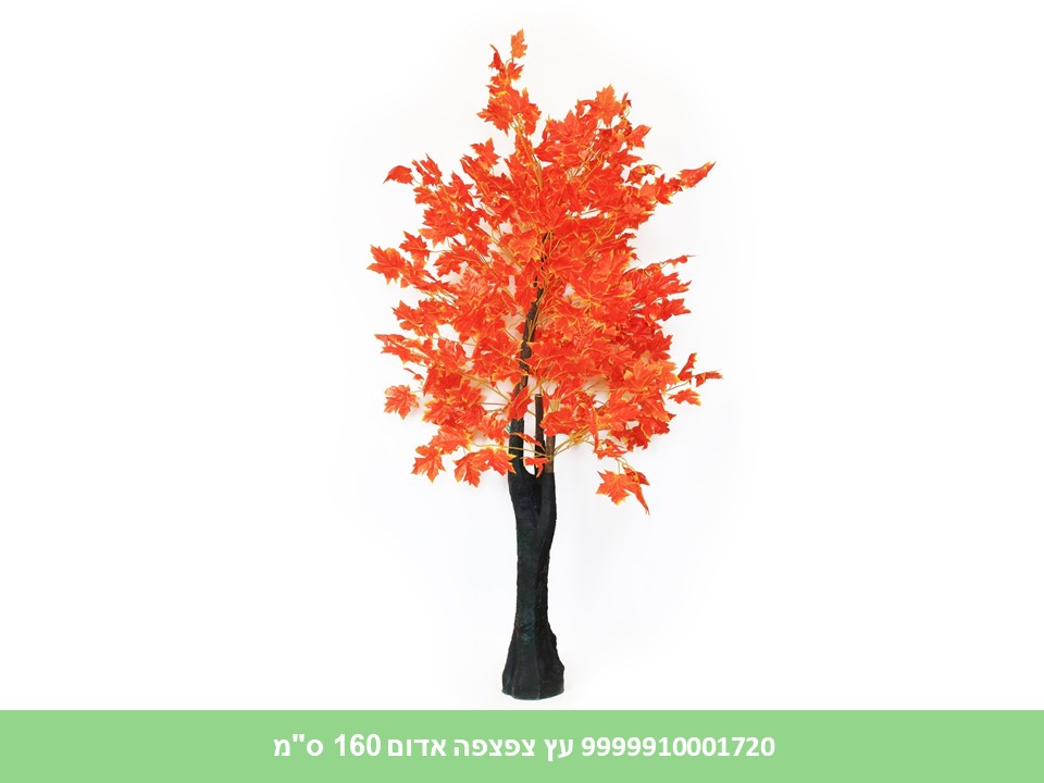 עץ צפצפה אדום 160 ס"מ