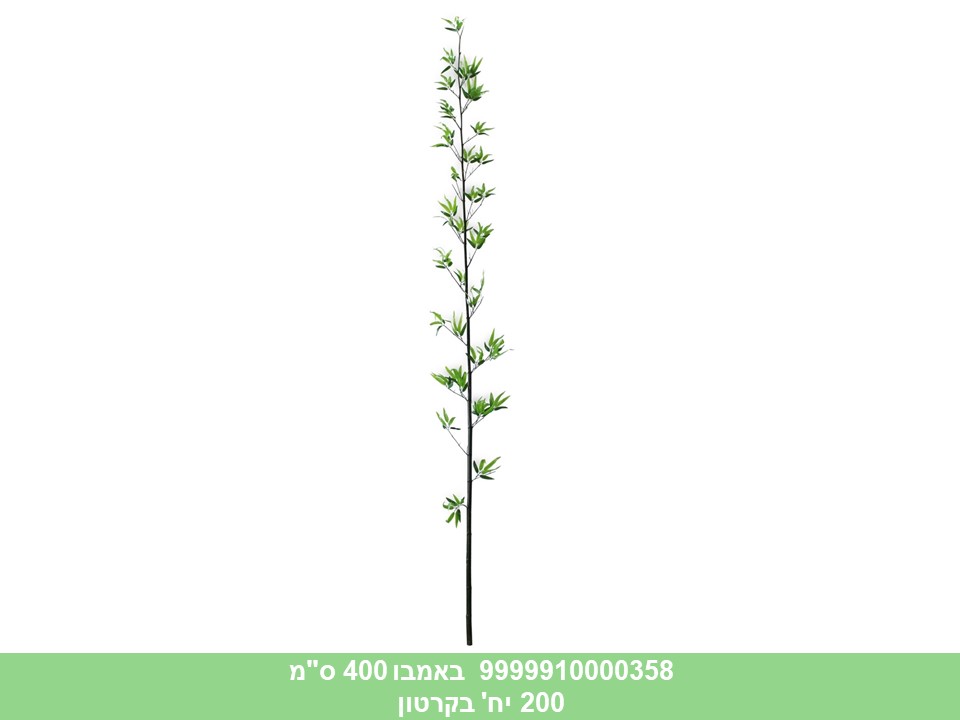 באמבו 400 ס"מ