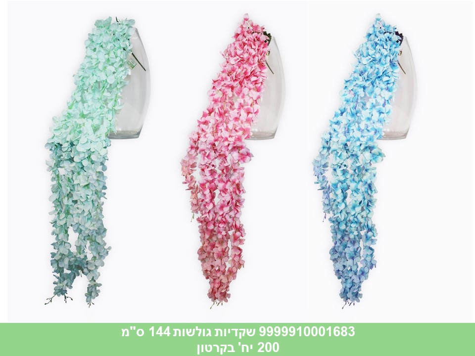 שקדיות גולשות 144 ס"מ (200)