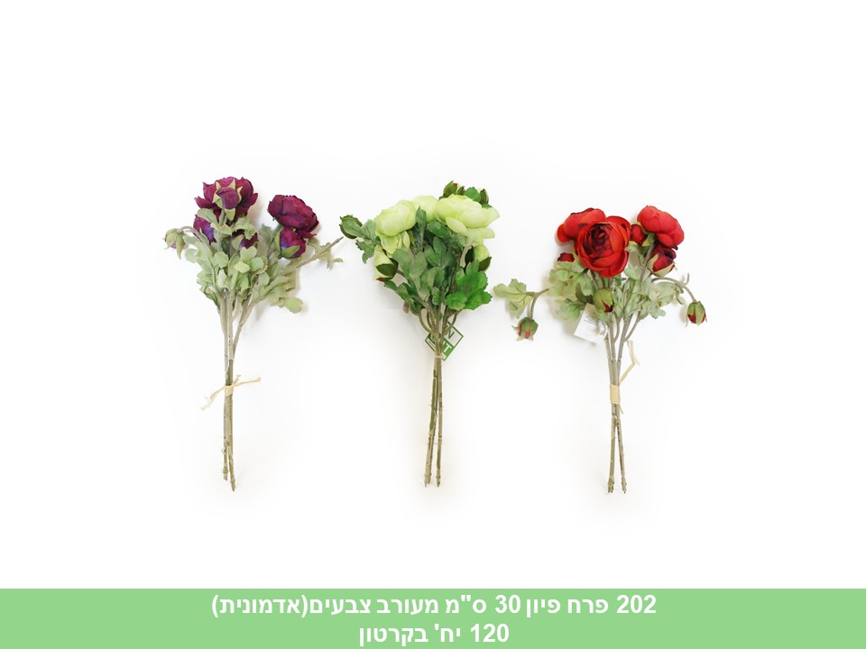 פרח פיון 30 ס"מ מעורב צבעים(אדמונית)