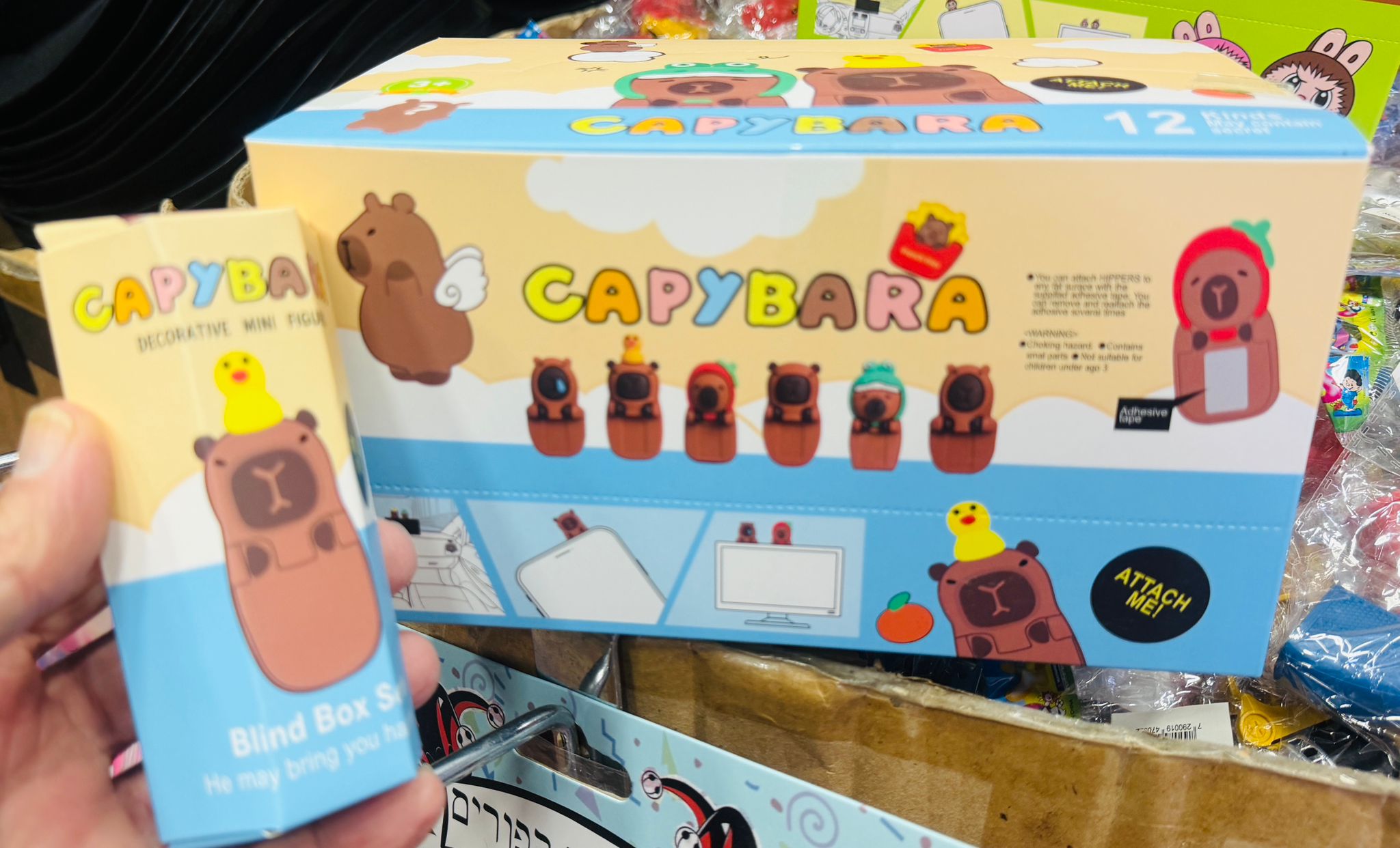 קישוט אוספים קקיברה בקופסא דיספליי9100/1-12