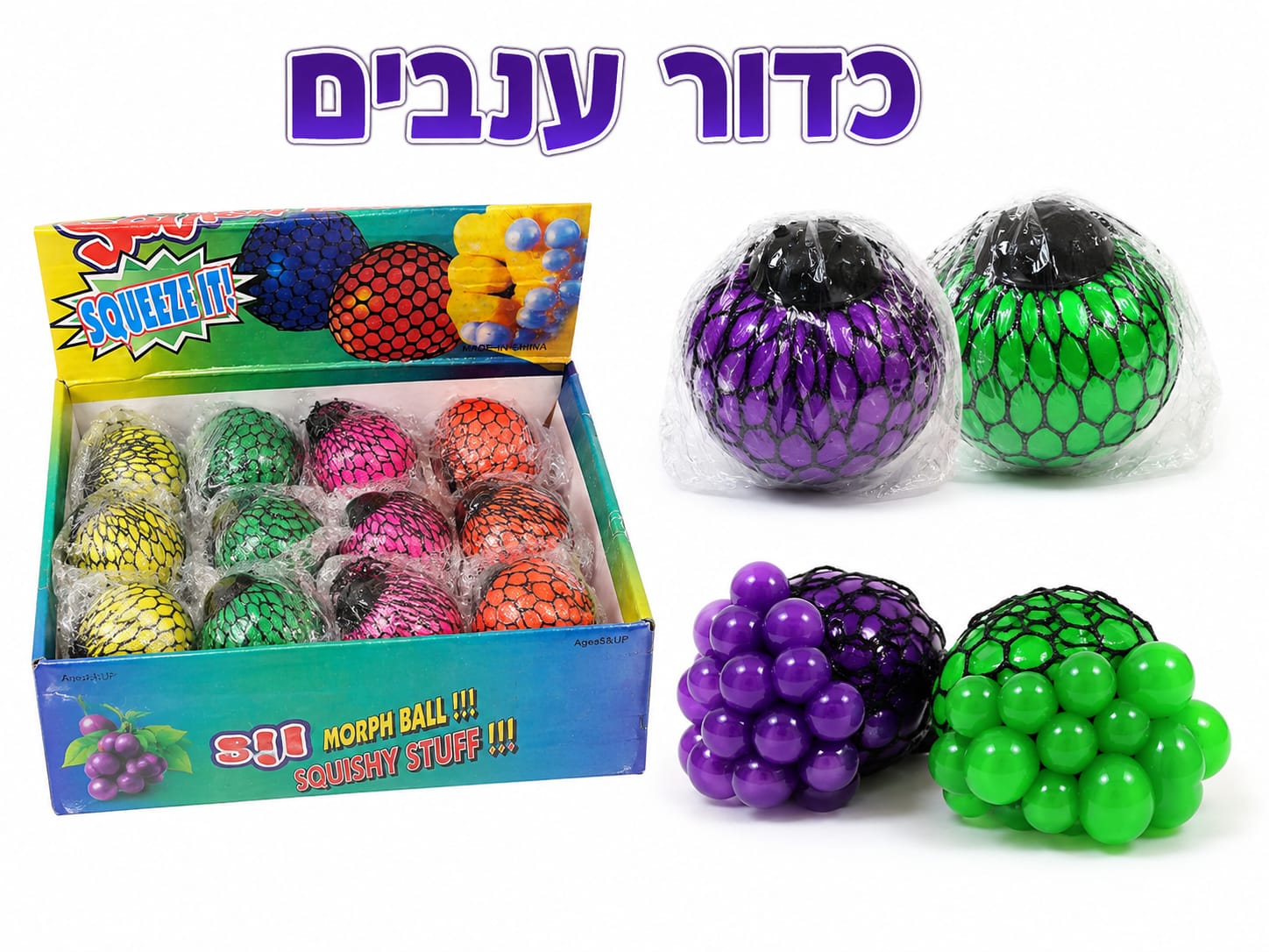 סקוויזי כדור ענבים (6ס"מ) (40)צבעים חדש3436/288/1-12