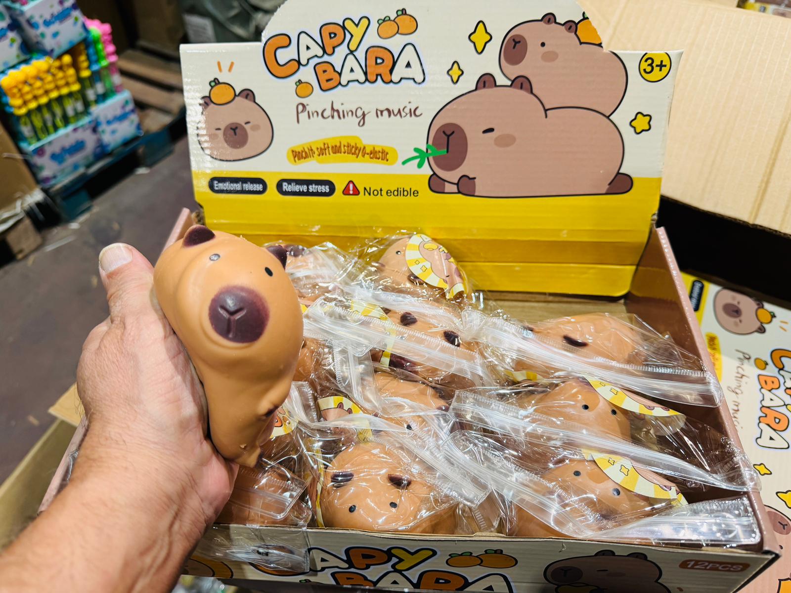 סקוויזי נידו קפיברה גדול חדש0112/3256K/288/1-12