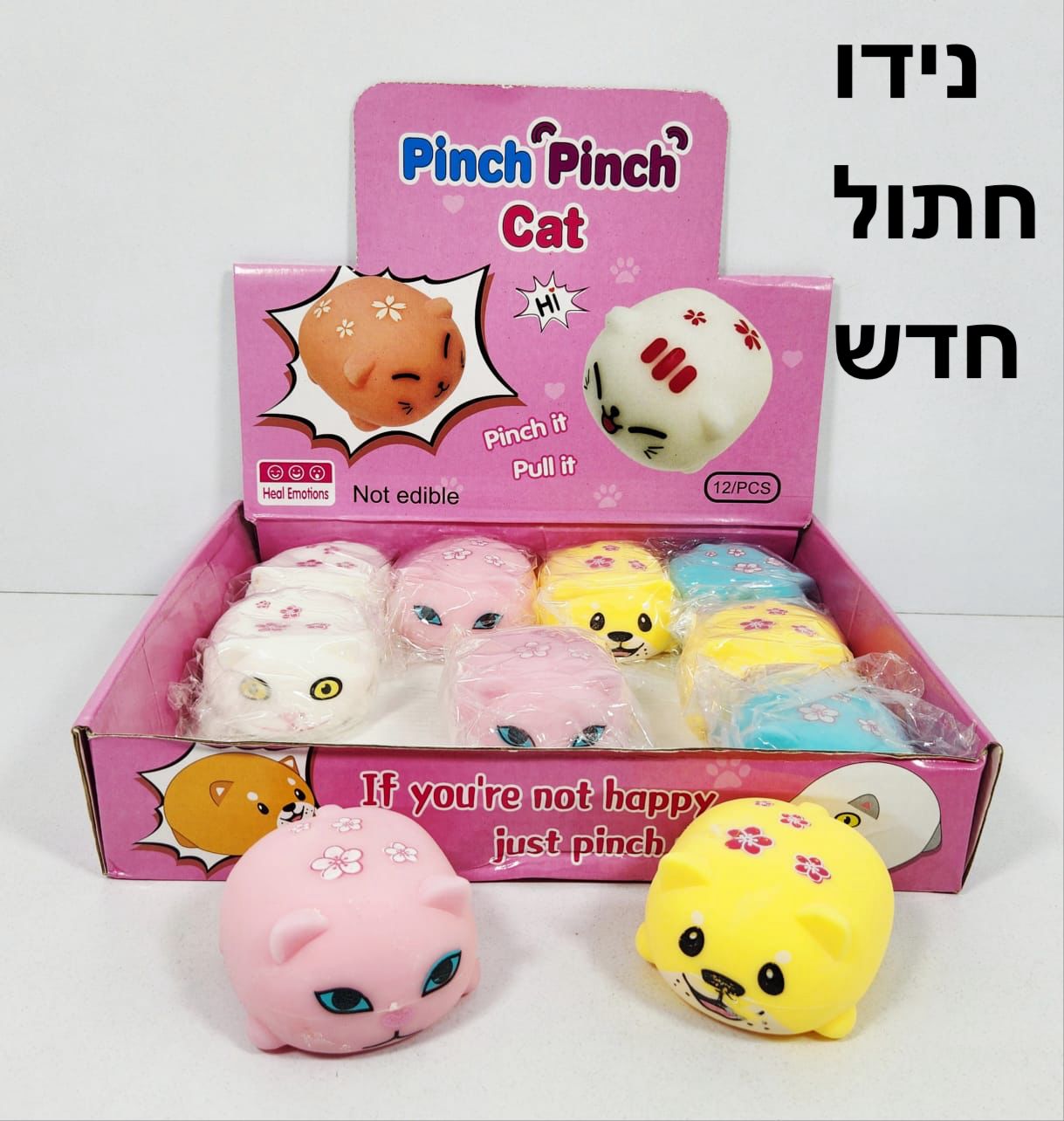 סקוויזי נידו חתולים מיקס צבעים דיספליי3052/240/1-12