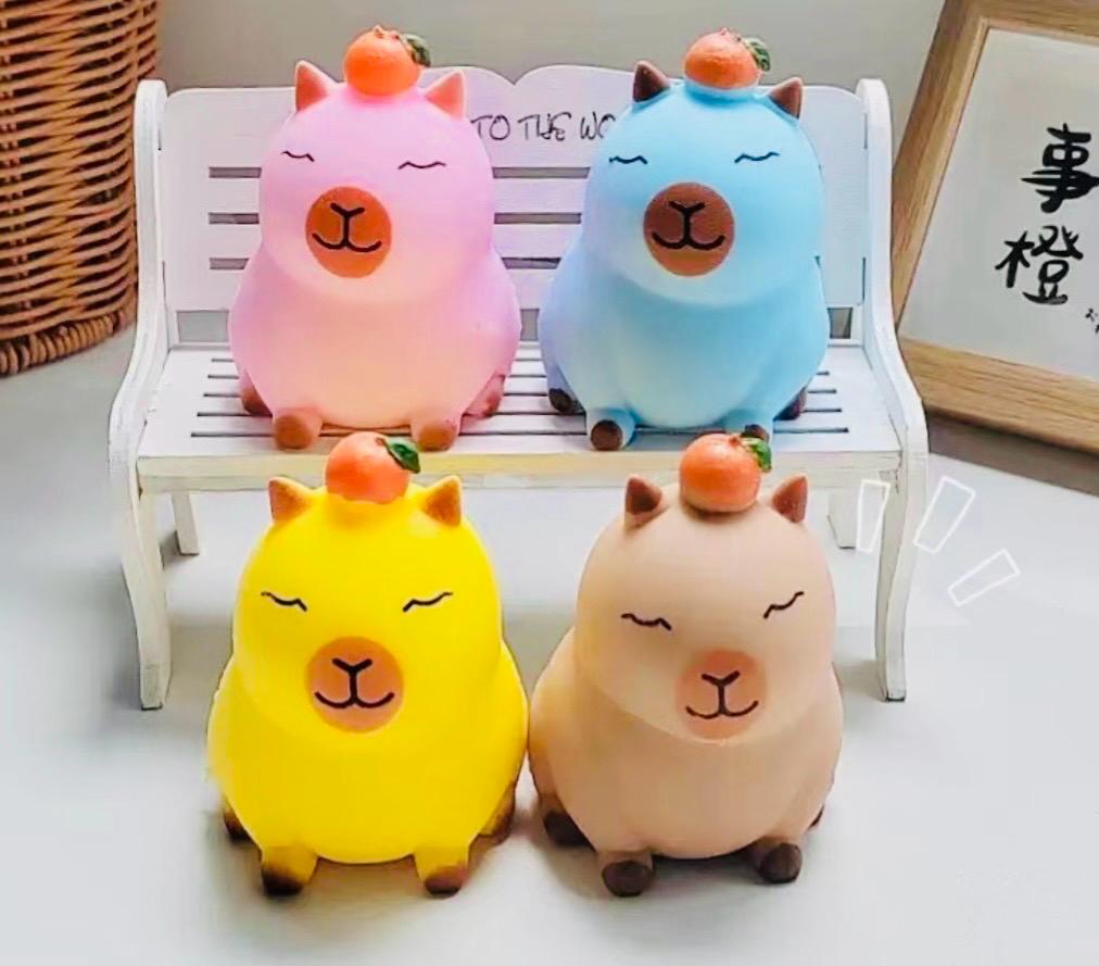 סקוויזי נידו קקיברה צבעוניים0091/288/1-12