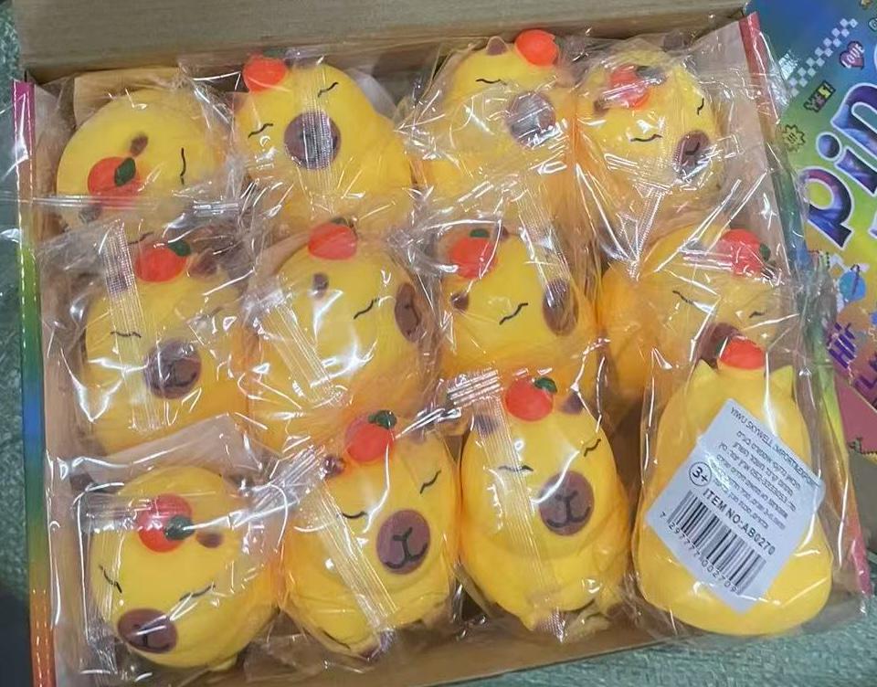 סקוויזי נידו אפרוחים דיספליי0270/288/1-12