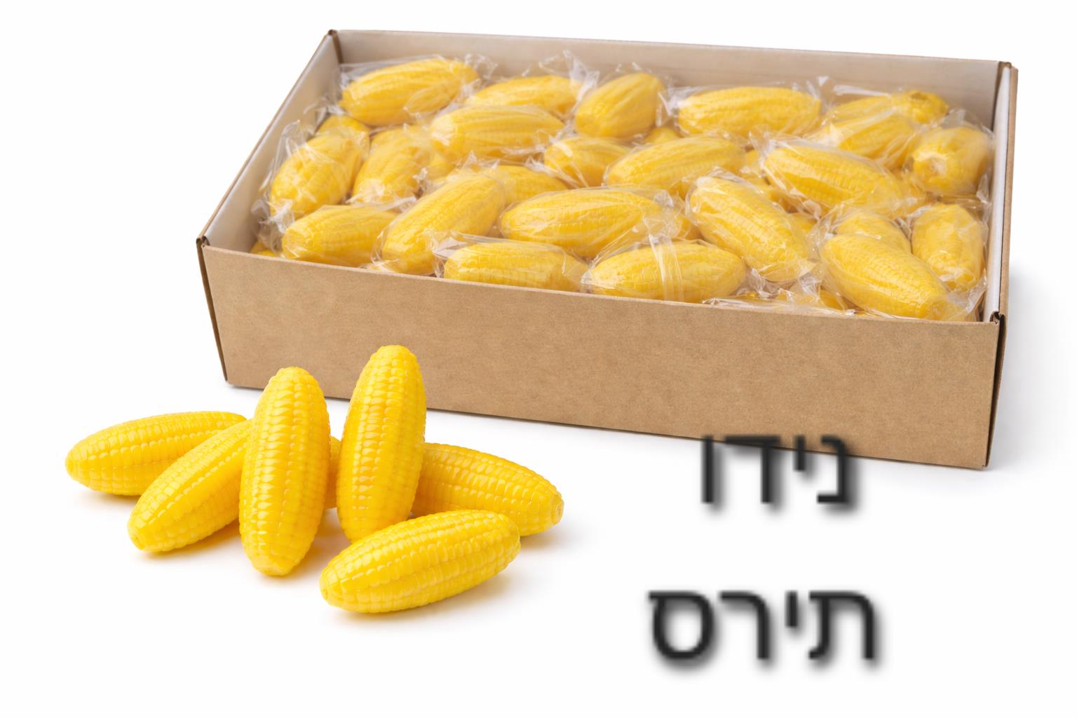 סקוויזי נידו תירסים שקית בדיספליי0027B/960/1-24
