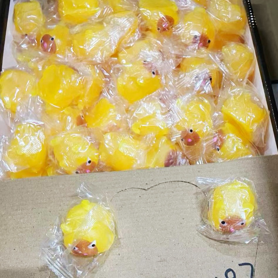 סקוויזי נידו חיות קטן חדש3197/800