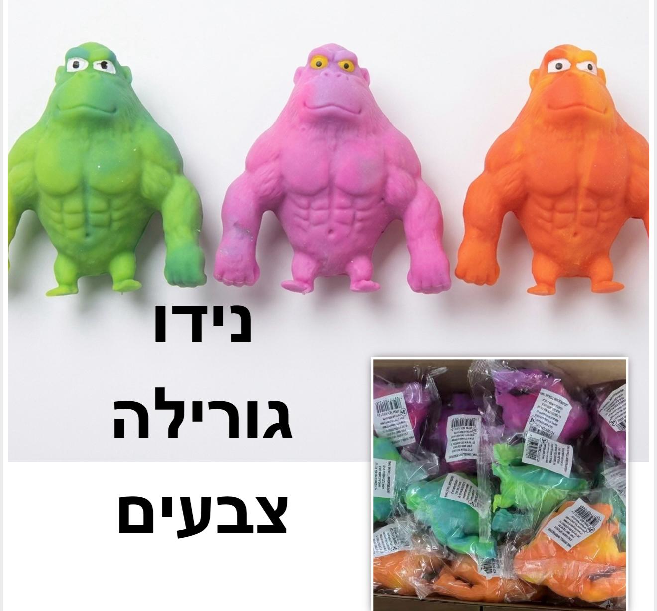 סקוויזי נידו גורילה בנוני0124/288/1-12
