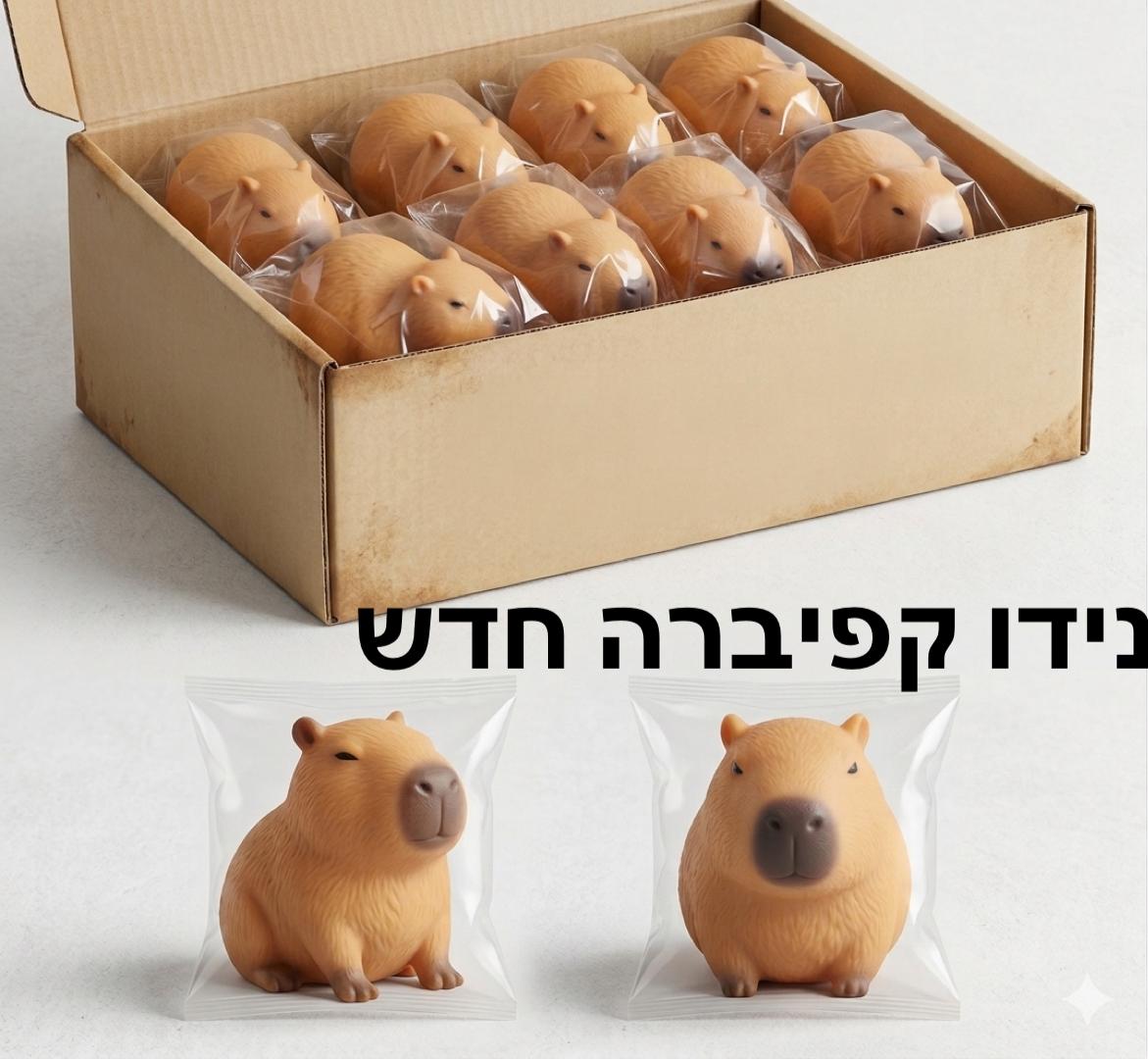 סקוויזי נידו קפיברה חדש3047D/384/1-16