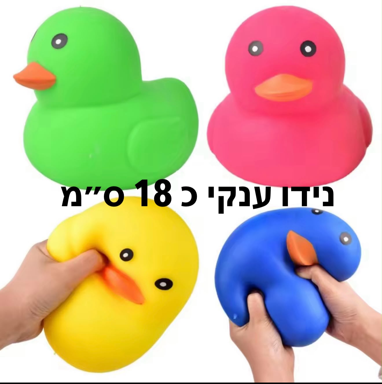 !סקוויזי נידו ברווז (כ-18סמ) ענקקקקקק3473/1-24