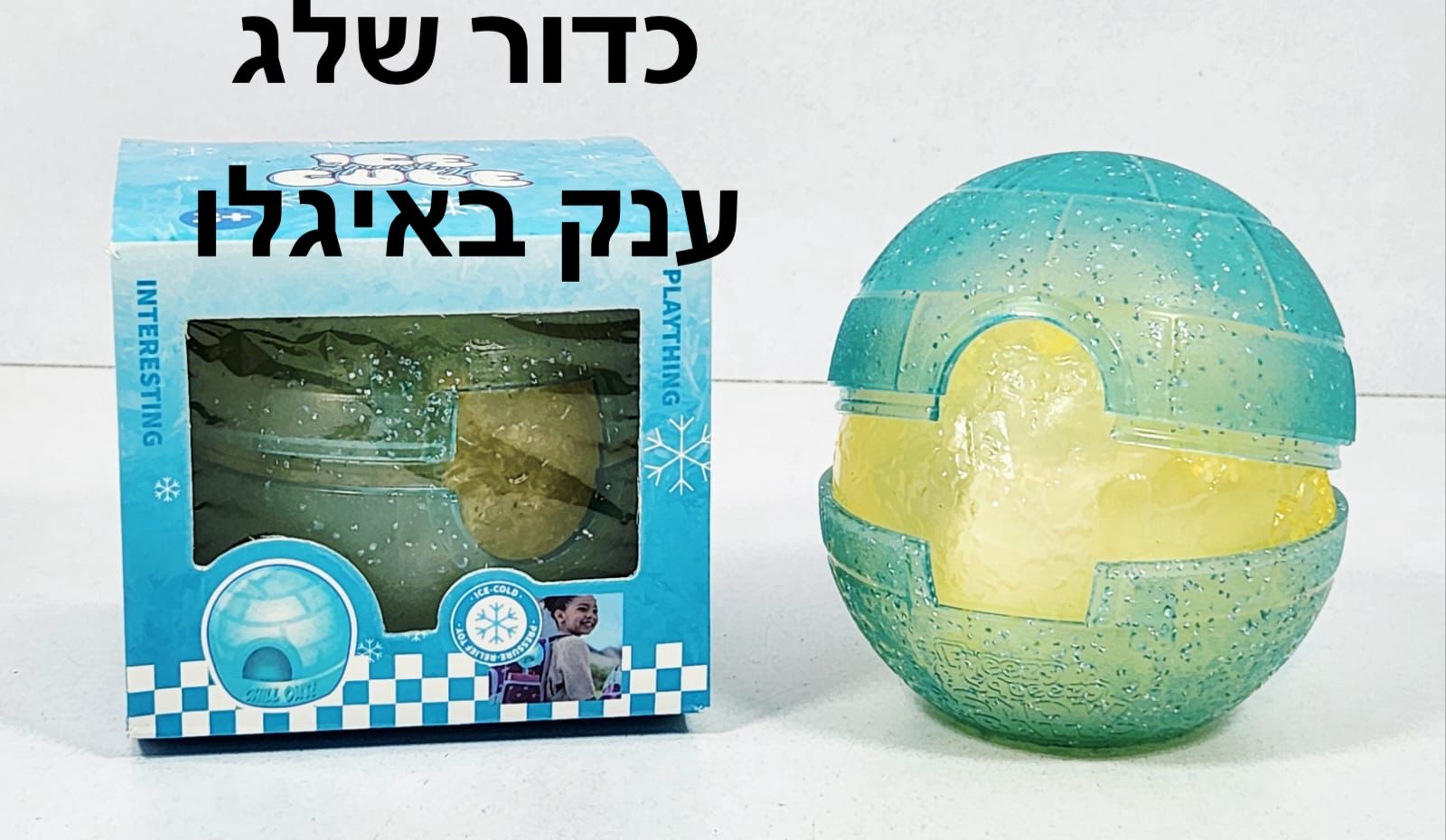 סקוויזי קרח כדור שלג ב איגלו ובקופסא3285/120/1-24