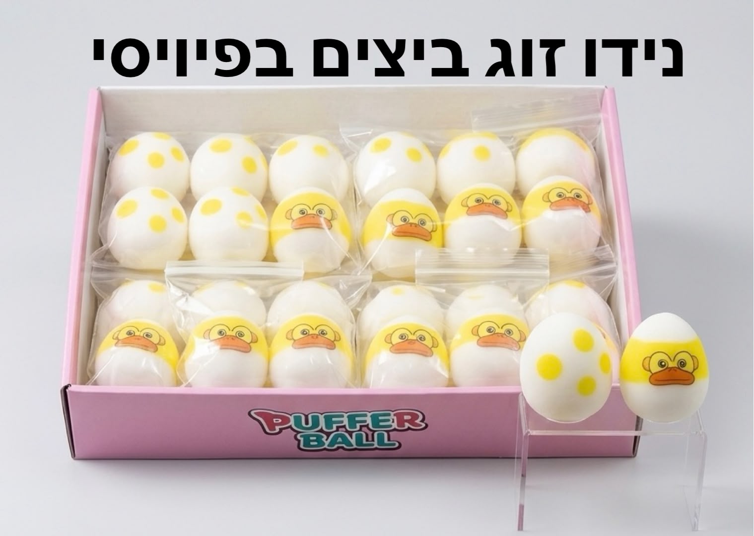!סקוויזי נידו זוג ביצים דוגמאות חדש3435E/360/1-30