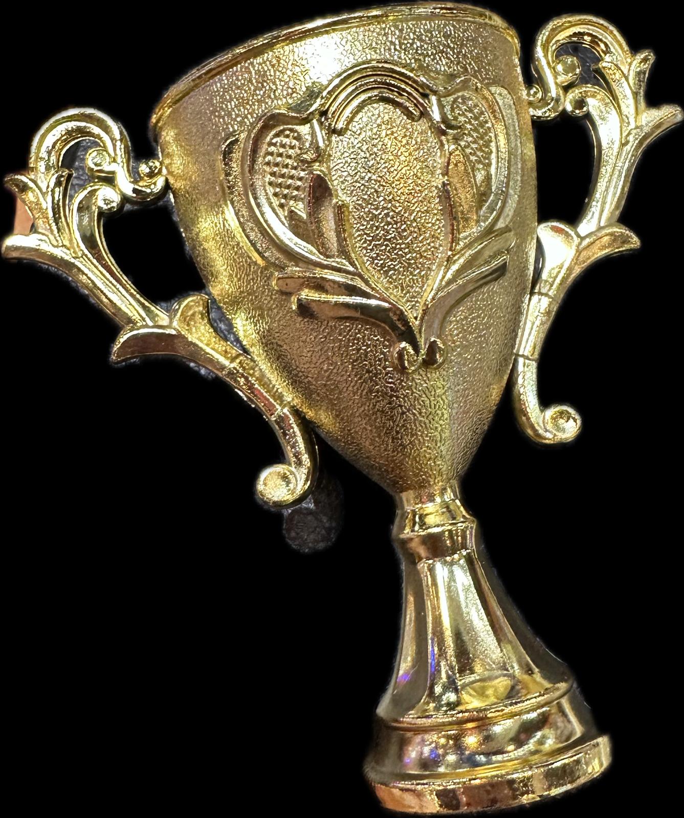 גביע אליפות (כ-13סמ) גדול זהב9805/600/1-12