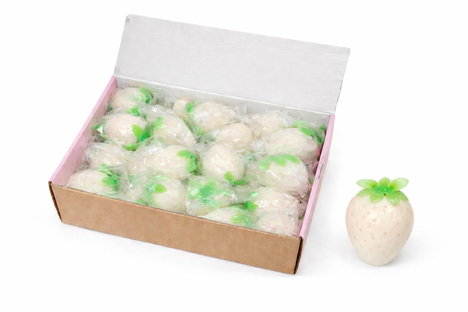 סקוויזי נידו פירות חדש3200/320