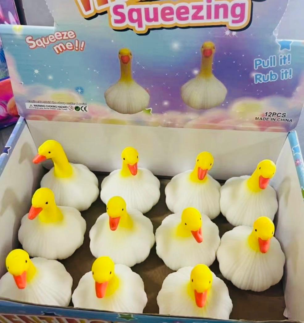 סקוויזי נידו ברווזים צבעים דיספליי0101/288/1-12