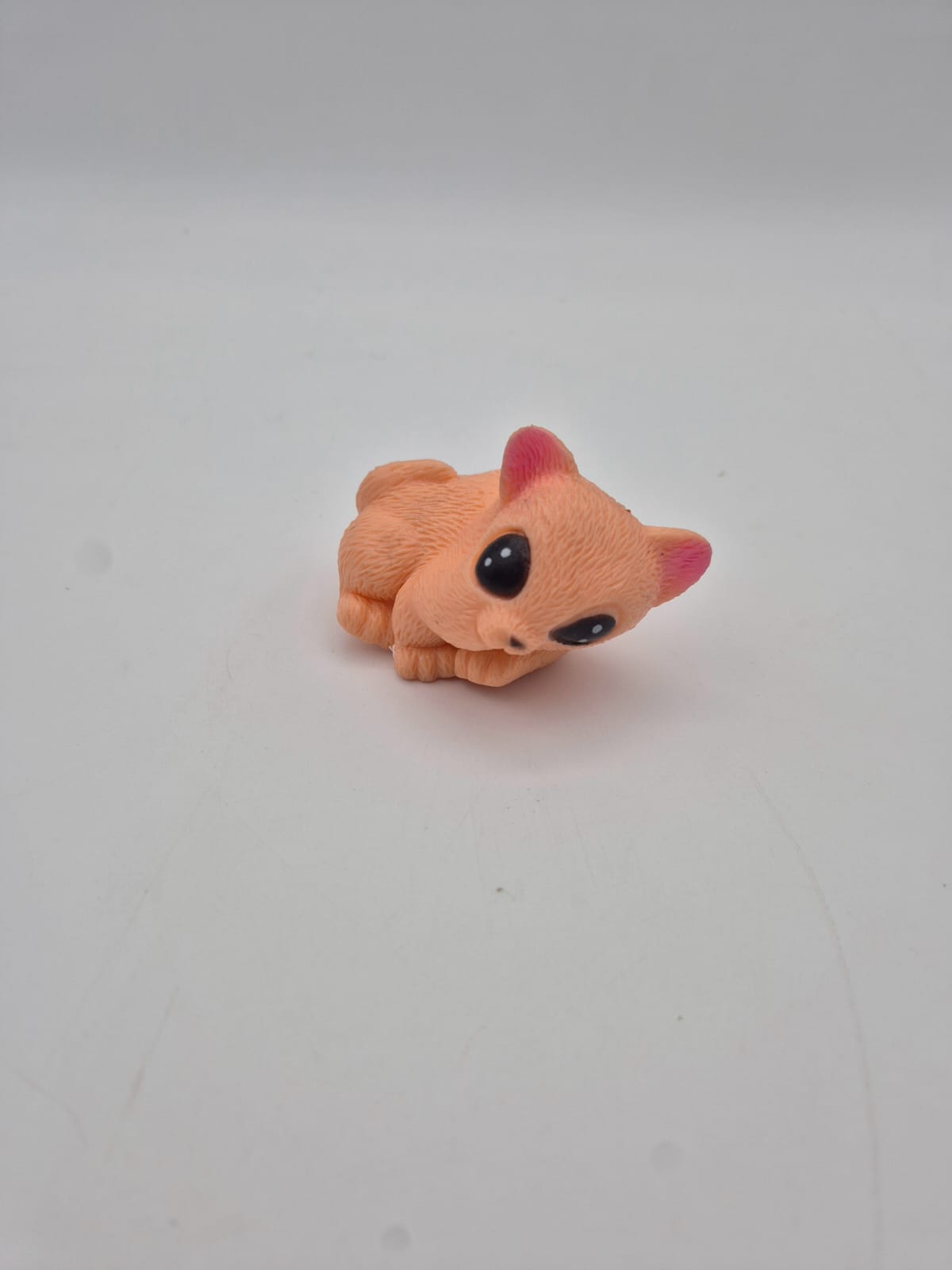 חתול גומי מתכווץ