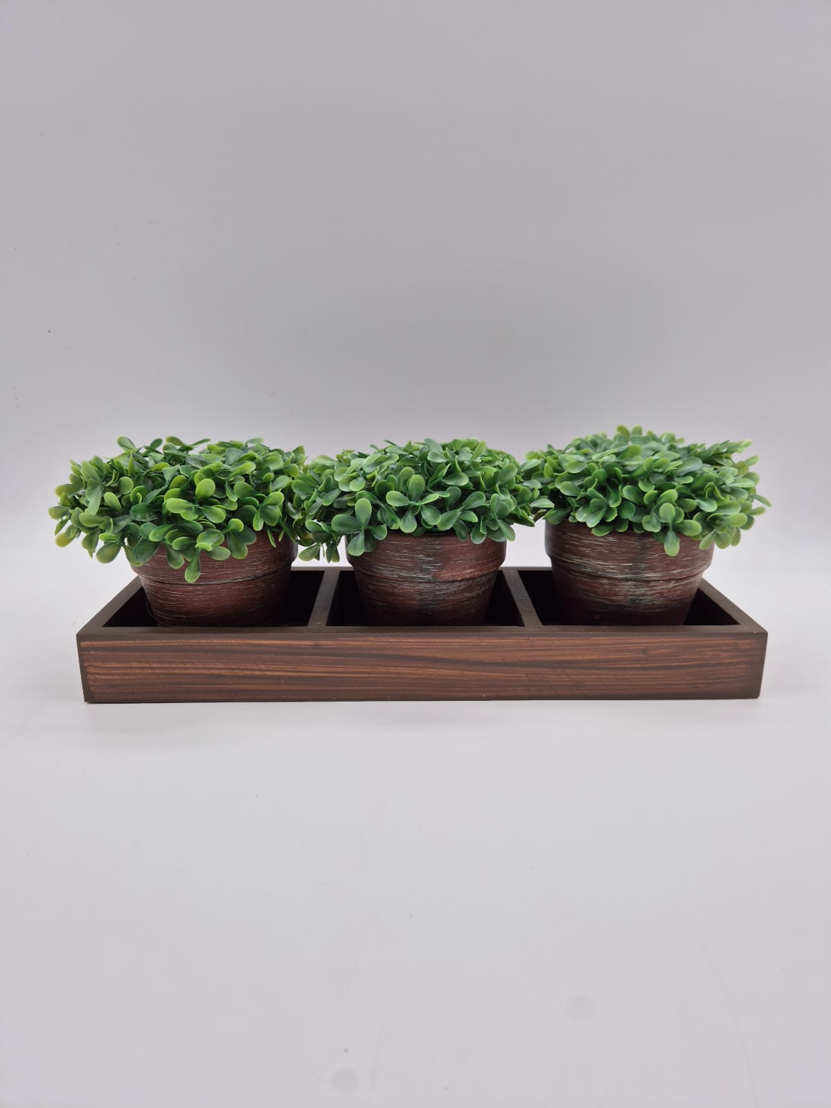 מארז 3 עציצי נוי פלסטיק (16בקרטון)