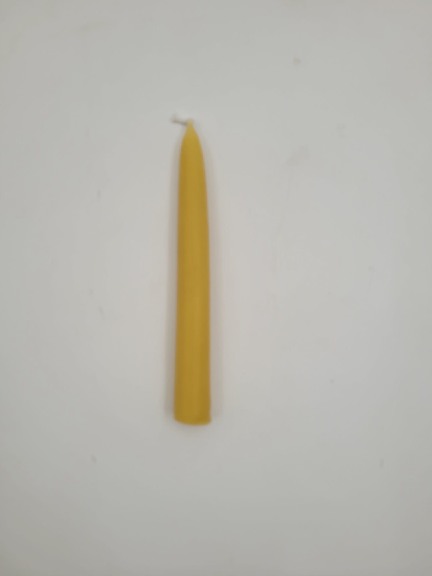 שמש רבני 15 ס"מ בתפזורת (50 יח' במארז)