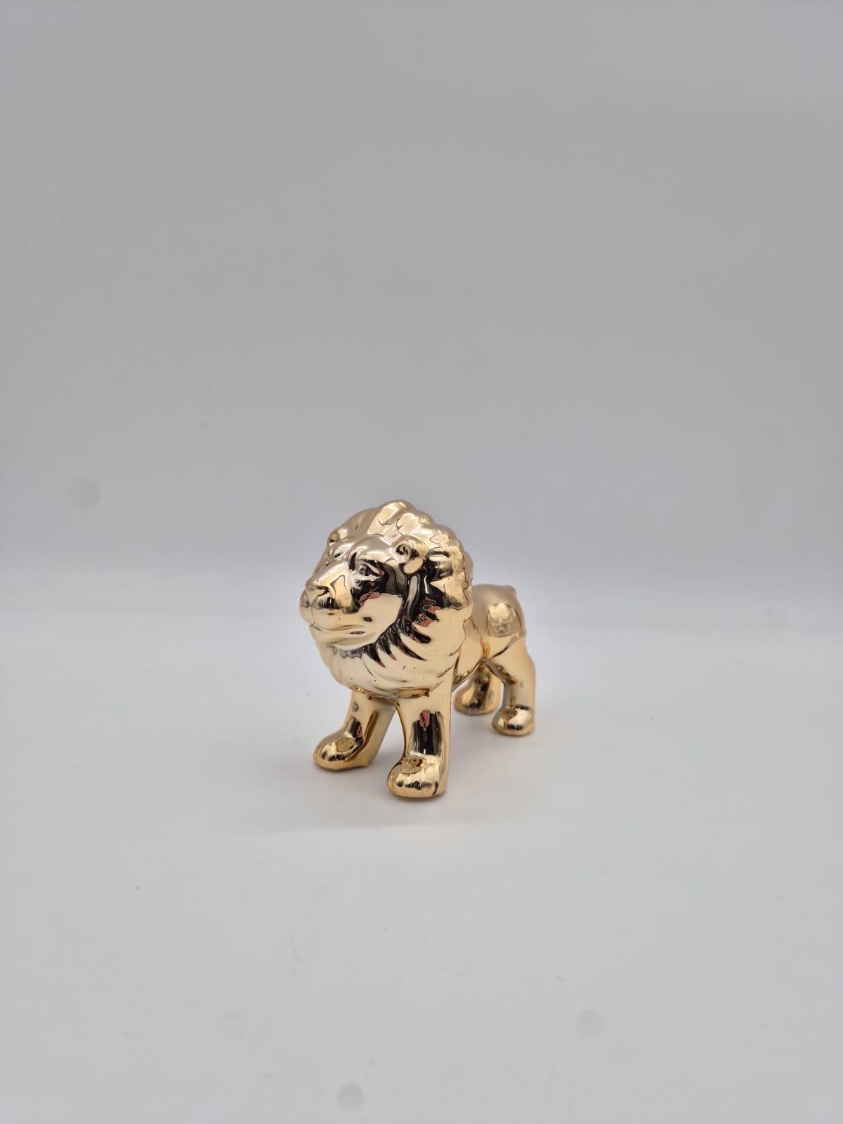 אריה זהב חרסינה(72בקרטון)